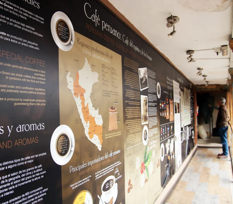 Museo del Cafe historia Museo del Cafe historia