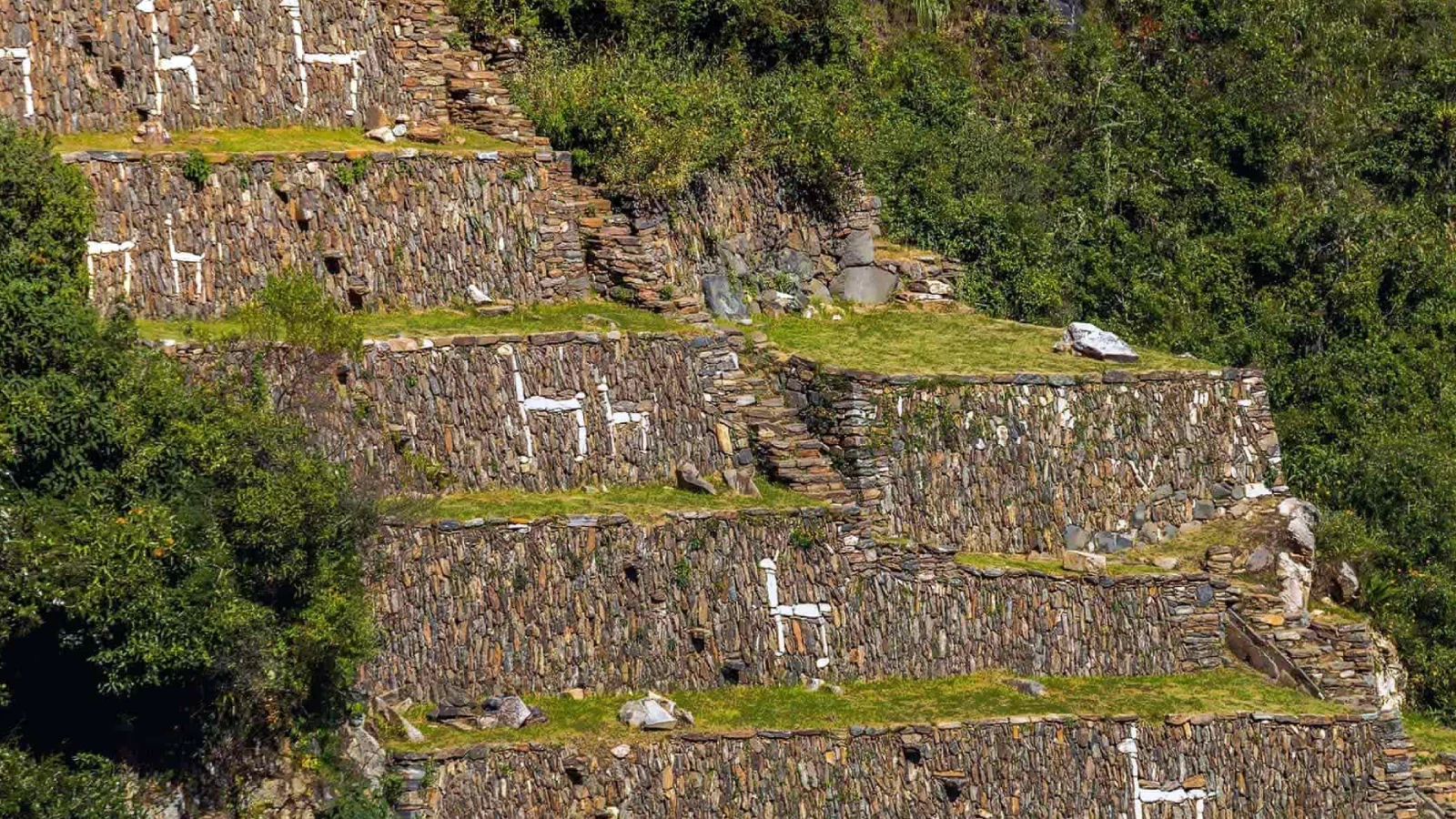 Figuras de llamas en Choquequirao